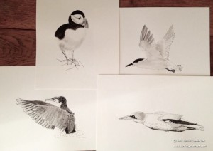 From the Silky Seabirds Collection - L to R: Puffin Power, The Savvy Sandwich Tern, The Cunning Comorant, Jet Fighter Gannet. Â© Carrie Sanderson Art